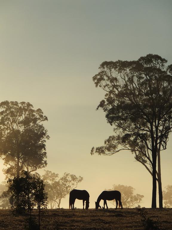 Susan River Homestead Hervey Bay Esterno foto